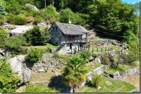 24'308fotoonserrnone (9)